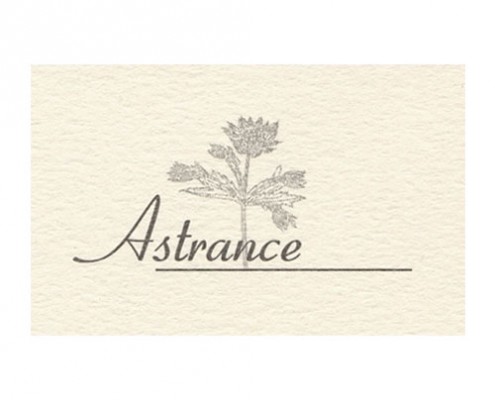 logos_0070_l_astrance